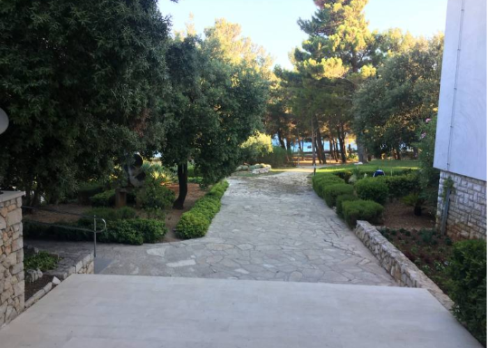 paved path with trees on left